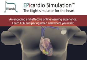Epicardio ltd secures government funding to bring simulation-based Covid-19 Intensive Care training to medics struggling with influx of new patients